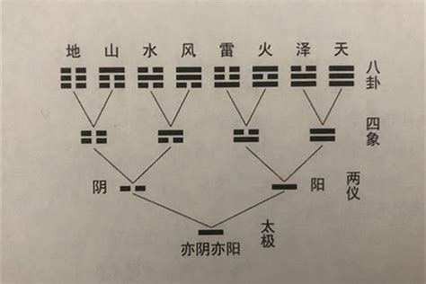 動爻怎麼看|動爻的運用法則